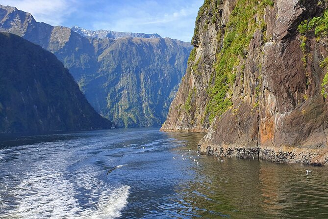 4 Day Tour to Milford Sound, Mount Cook & More from Queenstown - Stargazing at Aoraki Mackenzie: the best night depends on conditions