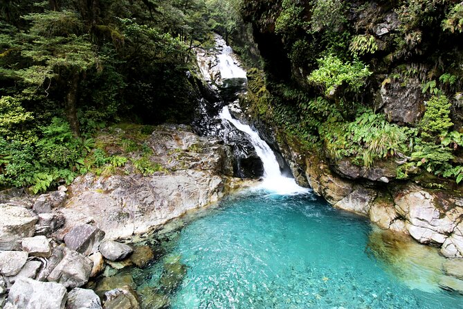 5 Day South Island Tour from Queenstown including Stewart Island - Te Anau Base: A Good Place to Sleep Before the Next Big Day