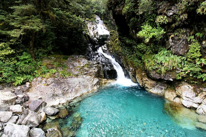 9 Day South to North Island NZ Private Tour from Queenstown - Key Highlights You’ll Care About Most