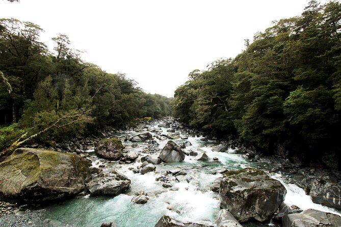 9 Day South to North Island NZ Private Tour from Queenstown - Arthur’s Pass to Christchurch by Train: Church, Limestone Rocks, and the TranzAlpine
