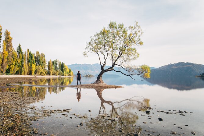 Arrowtown and Wanaka Highlights Tour from Queenstown - Key highlights to look for