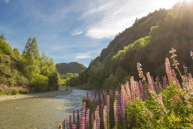 Arrowtown to Queenstown Bike Tour with Shuttle - Lower Shotover Bridge and the Shotover River: quick hits with big views