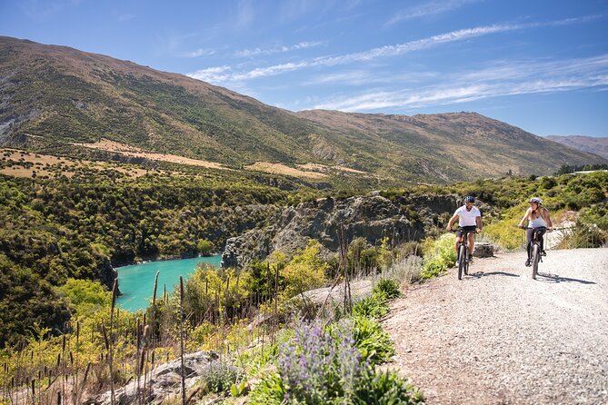 Bike The Wineries (1/2 Day) - Quick Pedal to Pinot - How Hard Is It, Really? Fitness, Bike Fit, and Comfort