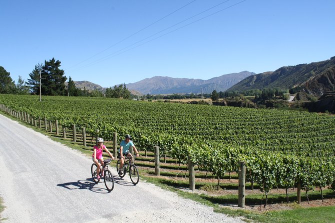 Bike The Wineries (3/4 Day) - Ride Through Queenstown Vineyards - Stop 5: The Church Cellar Door and Cafe—1894 building, relocated vibe