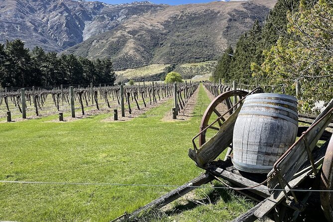 Bike & Wine Tour: Arrowtown to Valley of the Vines - Key Highlights I’d Plan Around