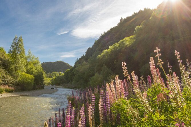 Bike & Wine Tour: Arrowtown to Valley of the Vines - E-Bikes vs Trek Marlin 6: Match the Bike to Your Energy