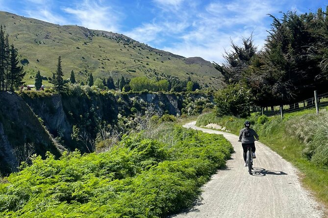 Bike & Wine Tour: Arrowtown to Valley of the Vines - Price and Value at $73.85: When This Beats Driving Yourself