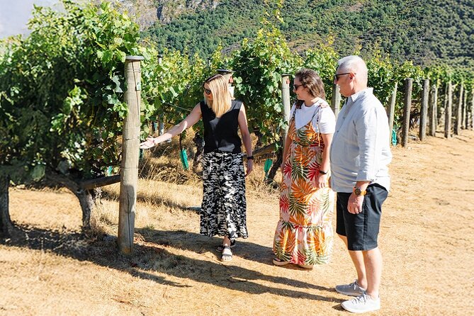 Boutique Wine Tour - visit Central Otago, 4 Wineries & Lunch - Bannockburn lunch at a vineyard restaurant: food that keeps the tour rolling