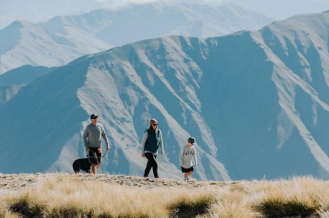 Cardrona Summer Gondola Sightseeing Pass - Riding McDougall’s Chondola to the summit (and why four minutes matters)