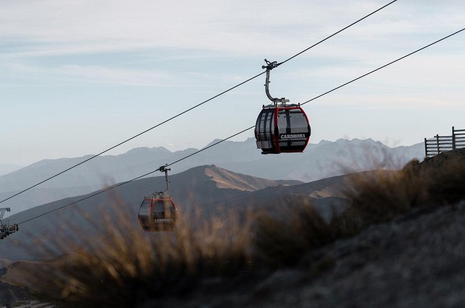 Cardrona Summer Gondola Sightseeing Pass - What you actually do at the top: trails, photos, and Cardrona Swing