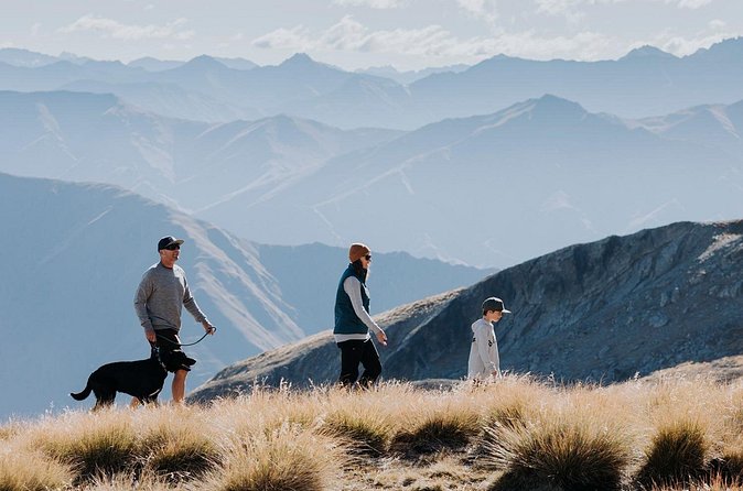Cardrona Summer Gondola Sightseeing Pass - Food and drinks up top: what to plan for