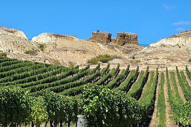 Central Otago Wine Tour Small Group, Expert Guide & Scenic Views - The winery swap issue: how to stay flexible without losing your plan