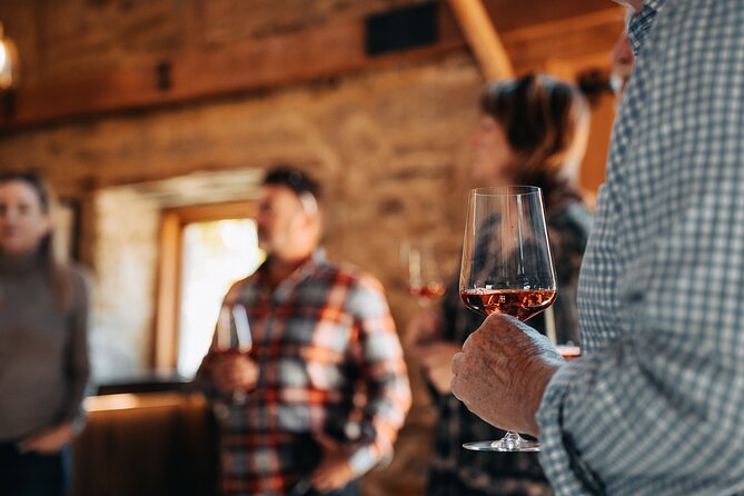 Central Otago Wine Tour Small Group, Expert Guide & Scenic Views - Should you book this Central Otago small-group wine tour?