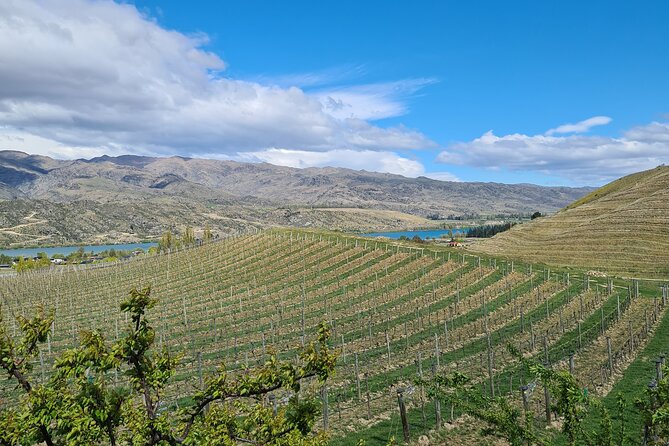 Cromwell Wine Tasting Tour using Classic Car - Guide Bob and the value of a personalized day