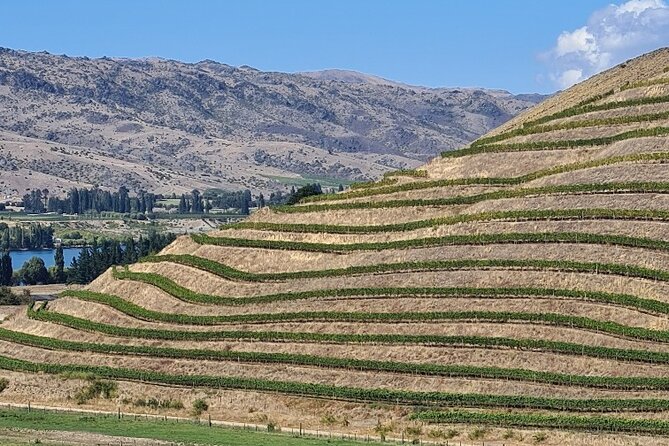 Cromwell Wine Tasting Tour using Classic Car - What the $217.20 price covers, and where the value shows up