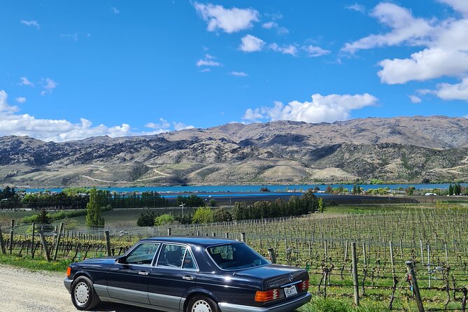 Cromwell Wine Tasting Tour using Classic Car - The Cromwell Basin story: why this region tastes different