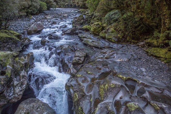 Cruise Milford Small Group Day Tour from Queenstown - Te Anau and Te Anau Downs: the calm break before you go deeper