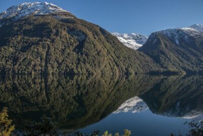 Cruise Milford Small Group Day Tour from Queenstown - Getting to the van: Frankton Terminus pickup and how the day starts