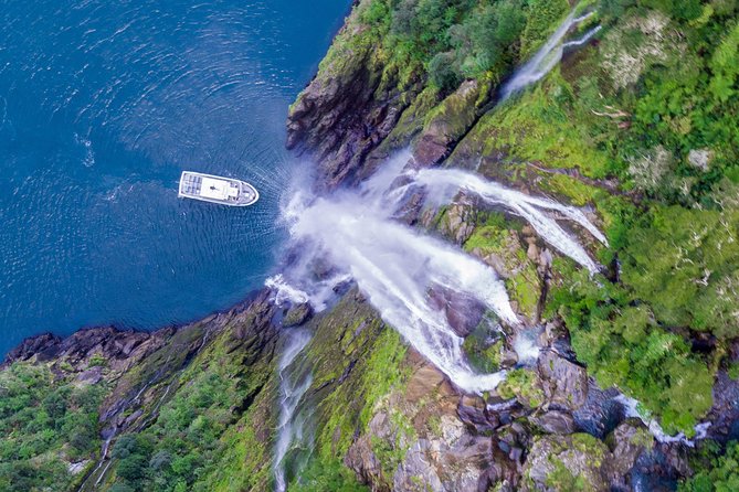 Cruise Milford Small Group Day Tour from Queenstown - Fiordland National Park: Eglinton Valley’s film-set feel