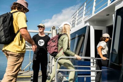 Doubtful Sound Wilderness Cruise from Queenstown - Manapouri and the Te Anau Pickup Stop: Small Breaks That Matter