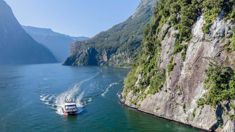 From Queenstown: Coach, Farm Tour & Milford Nature Cruise - Te Anau farm tour: real work, real animals, and a human-scale view