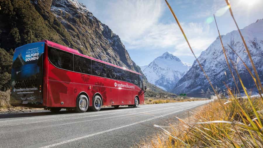 From Queenstown: Coach, Farm Tour & Milford Nature Cruise - Milford Sound cruise: 2 hours of waterfalls, wildlife chances, and onboard comfort