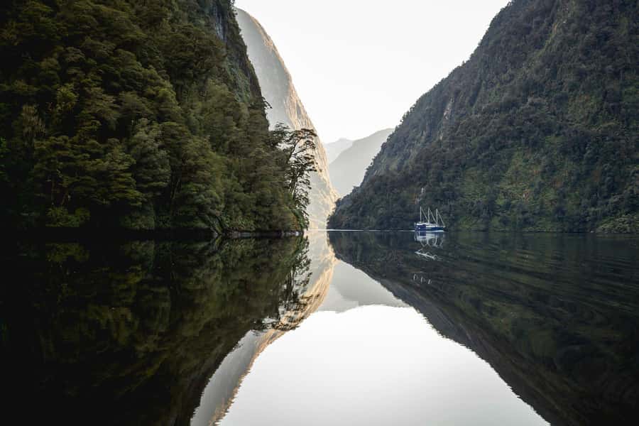 From Queenstown: Doubtful Sound Wilderness Day Trip - Should you book this Doubtful Sound day trip?