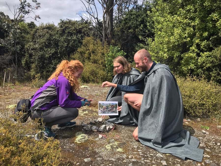 From Queenstown: Lord of the Ring Full-Day Private Tour - Ithilien, Isengard, Beorn’s House, Lothlórien, and Amon Hen: how the story threads through the drive