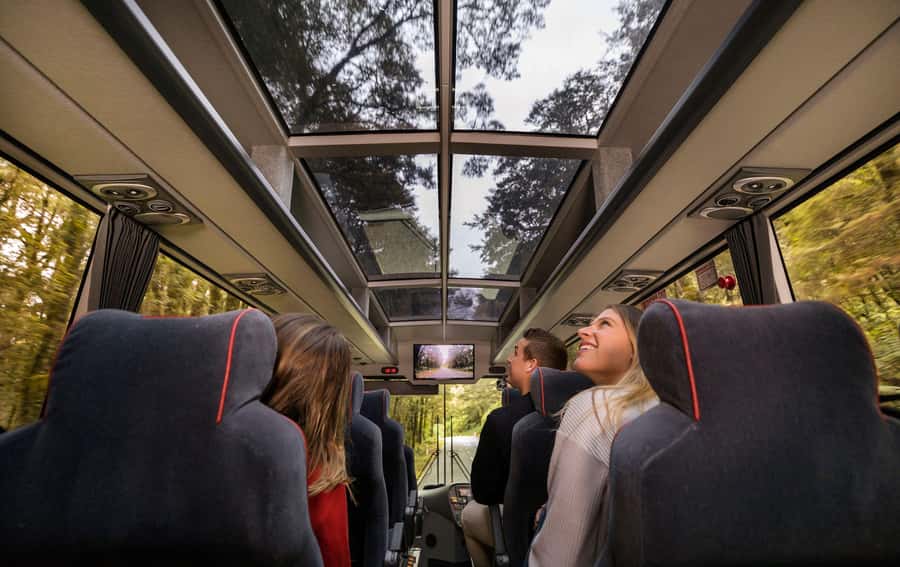 From Queenstown: Milford Sound Coach, Cruise, Scenic Flight - Mirror Lakes to the Homer Tunnel: the stops you’ll actually feel