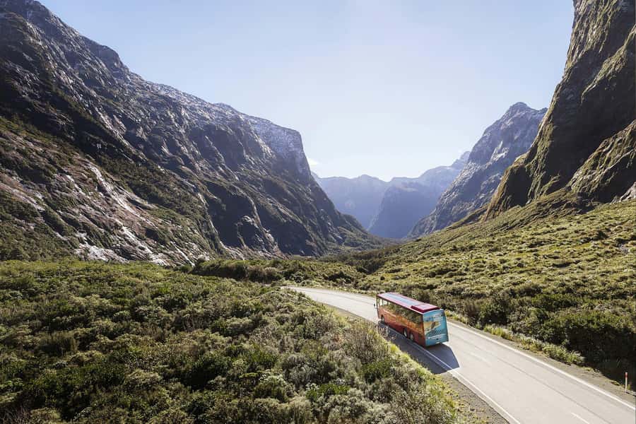 From Queenstown: Milford Sound Coach, Cruise, Scenic Flight - Milford Sound nature cruise: open decks, wildlife odds, and spray