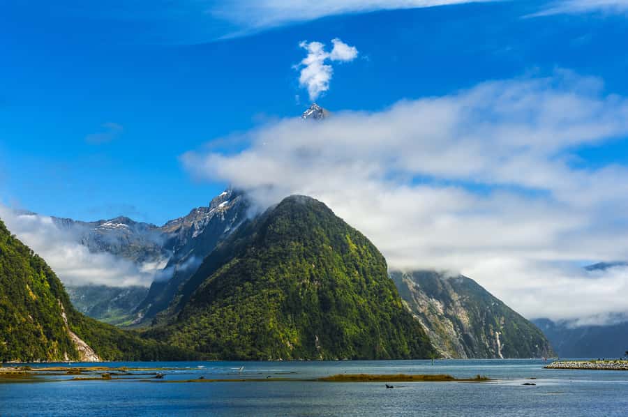 From Queenstown Milford Sound Cruise & Glass-Roof Coach Tour - Key things to know before you go