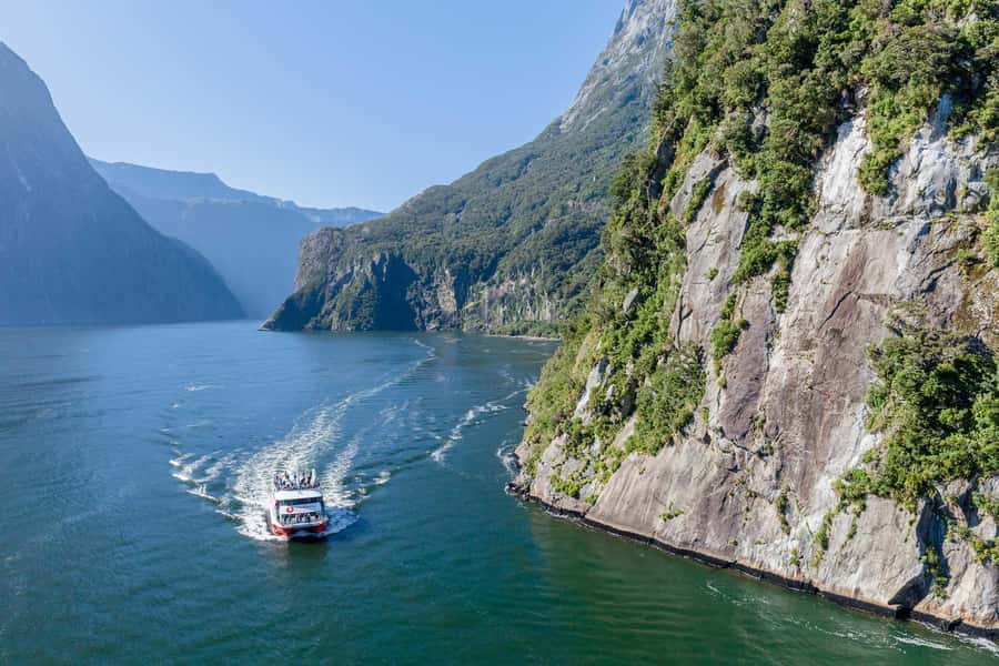 From Queenstown: Milford Sound Day Trip on Premium Coach - Wildlife Spotting Without Losing the Waterfalls