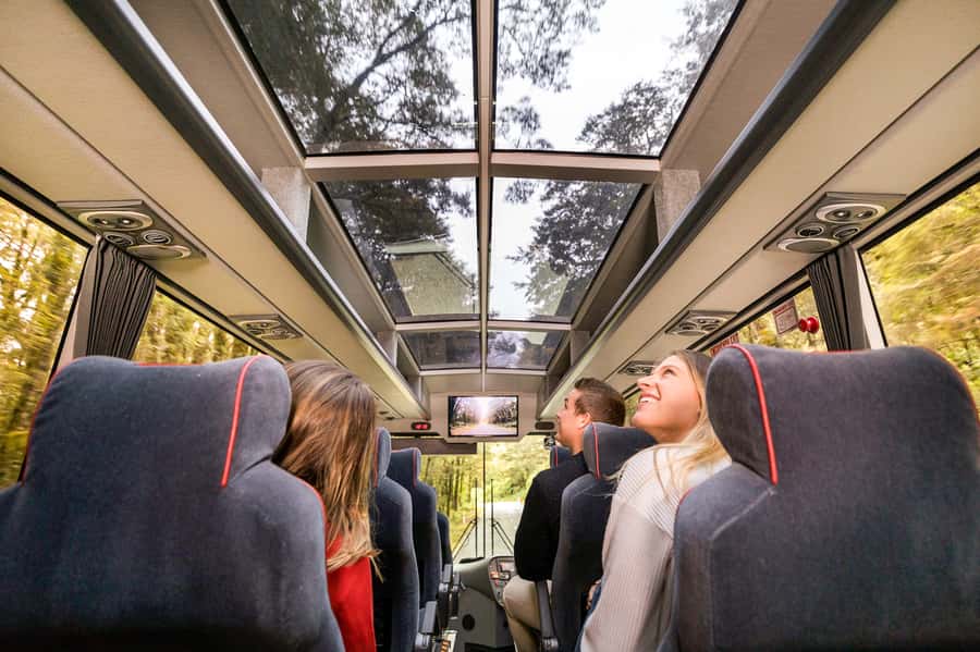 From Queenstown: Milford Sound Day Trip on Premium Coach - Te Anau Breaks and the Milford Road Pace (Why It Feels Faster)