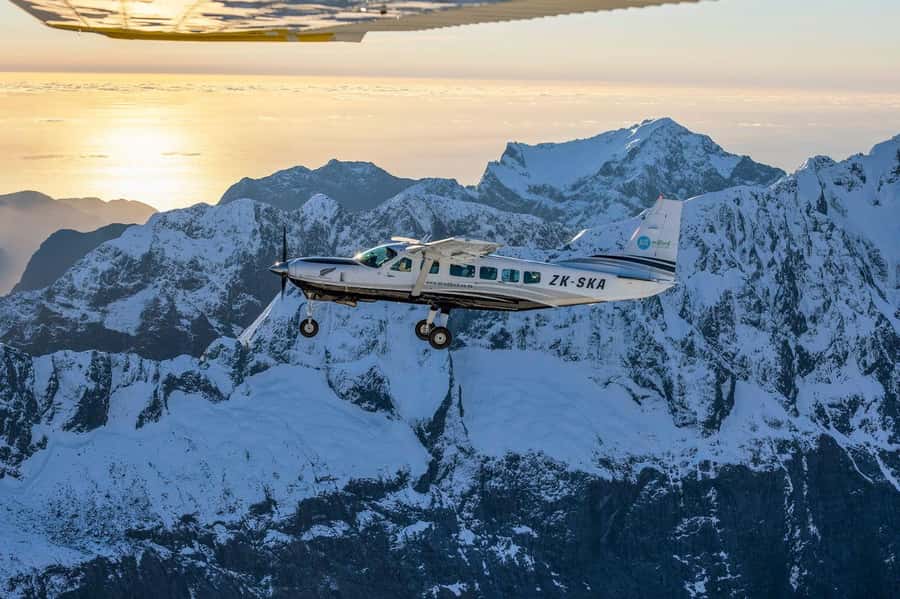 From Queenstown: Milford Sound Flight and Nature Cruise - Quick hits from Air Milford’s Milford Sound combo