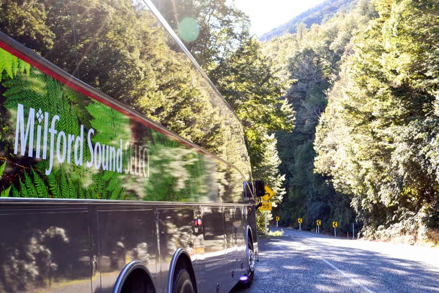 From Queenstown: Milford Sound Premium Day Tour and Cruise - From 110 Beach Street to Milford Sound: the luxury coach experience