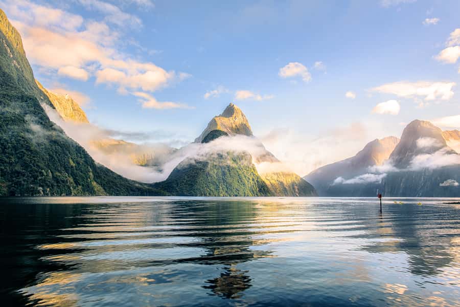 From Queenstown: Milford Sound Premium Day Tour and Cruise - Mirror Lakes and rainforest boardwalk: the best quick walk on the route