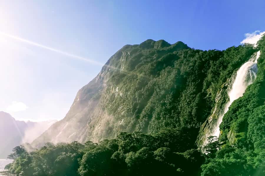 From Queenstown: Milford Sound Premium Day Tour and Cruise - Who should book this Milford Sound premium day tour