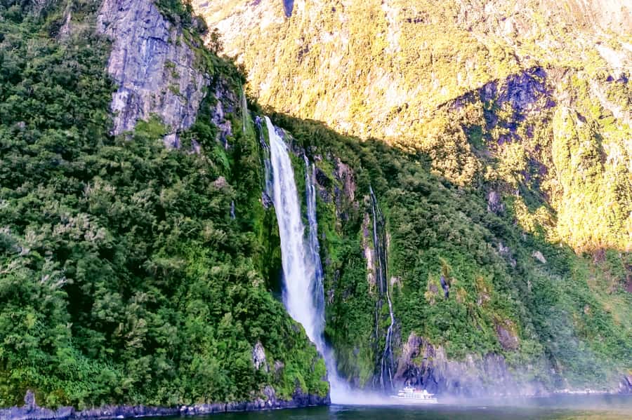 From Queenstown: Milford Sound Premium Day Tour and Cruise - Should you book this tour?