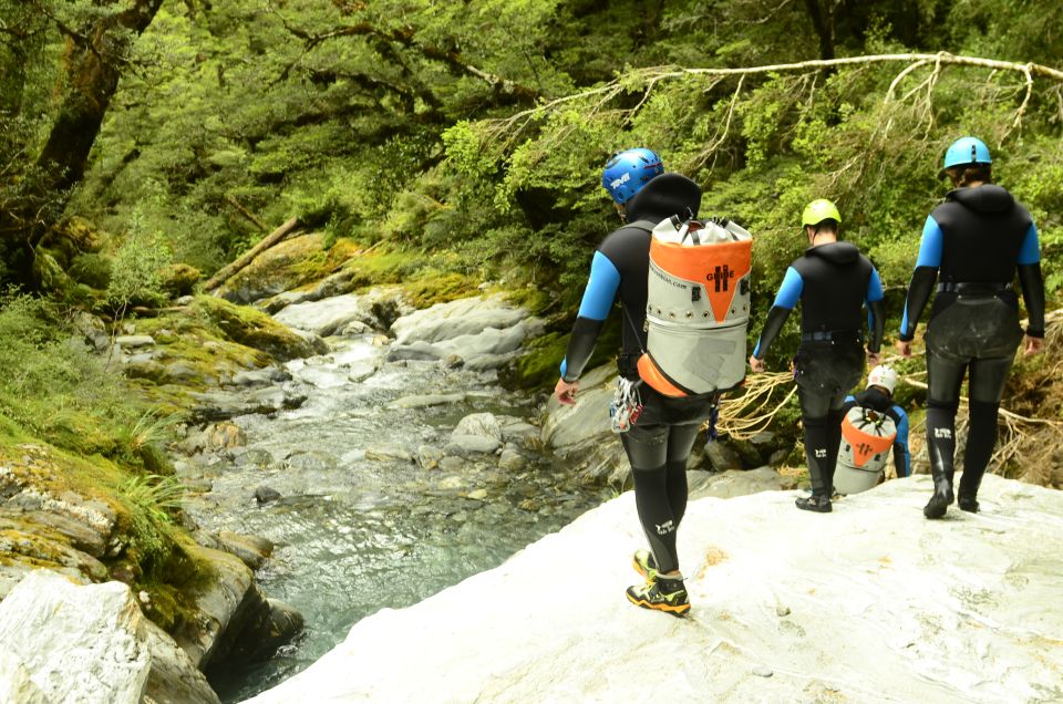 From Queenstown: Mount Aspiring Full-Day Canyoning Adventure - Inside the canyon day: safety briefing, guided movement, and the big adrenaline