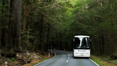 From Queenstown: Scenic One-Way Tour to Franz Josef - Inside the premium coach: comfort that matters on an 8-hour ride