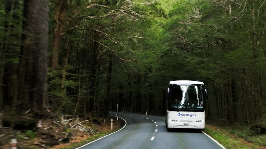 From Queenstown: Scenic One-Way Tour to Franz Josef - Inside the premium coach: comfort that matters on an 8-hour ride