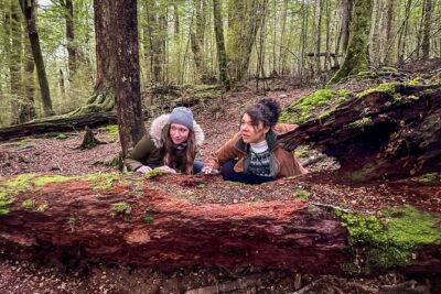 Full Day Lord of the Rings Mavora Lakes Adventure! - Manapouri, Kepler Track area, and Te Anau: the Fiordland warm-season stretch