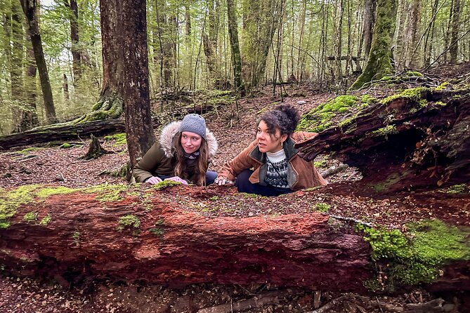 Full Day Lord of the Rings Mavora Lakes Adventure! - Manapouri, Kepler Track area, and Te Anau: the Fiordland warm-season stretch