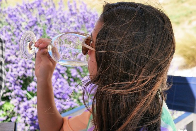 Gibbston Half-Day Private Wine Tour with Hotel Pickup - Four cellar doors in Gibbston: how the tastings are paced