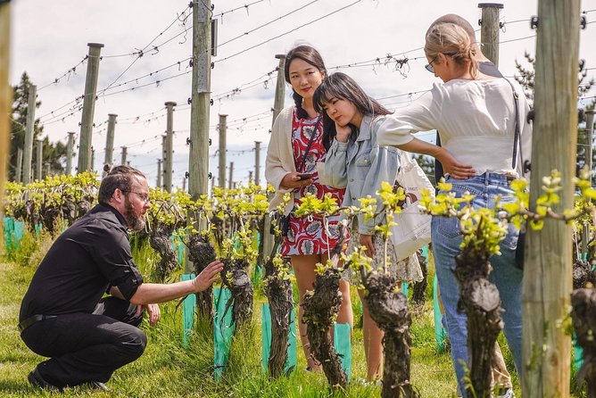 Gibbston Valley Wines - Winery Tour - A 45-Minute Pinot Noir Fix in Gibbston