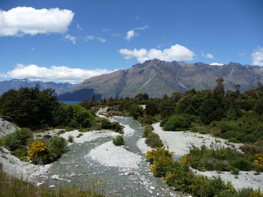 Glenorchy: 4WD Lord Of the Rings Half-Day Tour - Paradise Valley and Lothlórien: what to look for at the Forest location