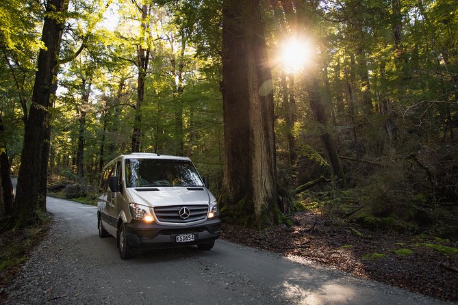 Glenorchy & Paradise Half-Day Scenic Tour from Queenstown - Stop 4: The Glenorchy–Paradise Road dirt, one-way section