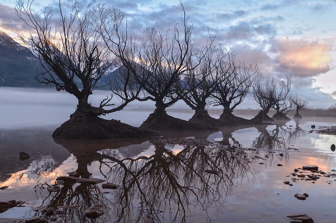 Glenorchy Private Day Trip from Queenstown: TravelnGo - Glenorchy Lagoon Scenic Walkway: optional, easy-ish, and good for birdwatching time