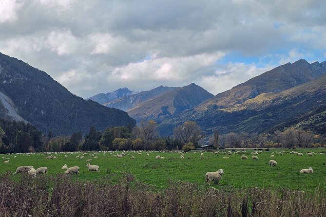 Glenorchy Private Day Trip from Queenstown: TravelnGo - Diamond Lake and the Road to Paradise run (subject to weather)