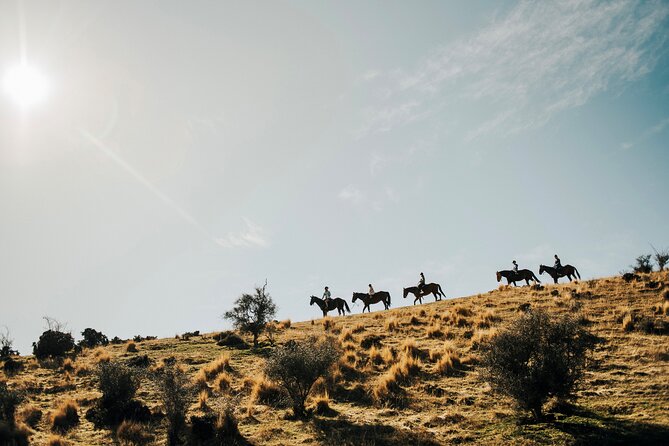 Gold Discovery Trail Horse Trek Cardrona - Most popular! - Key Highlights You’ll Feel on the Trail